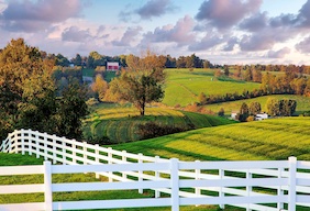 The moisture-heavy climate in Ohio from wet springs accelerates wood deterioration and ensures year-round business opportunities. 